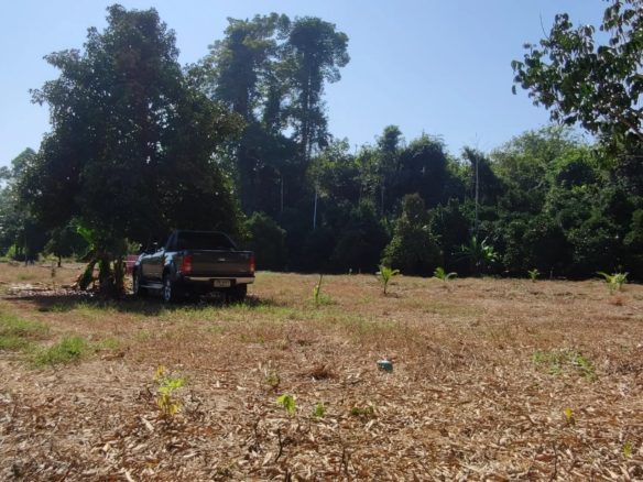 None Bedroom Villa @ 2 Rai Land For Build the House or Resort