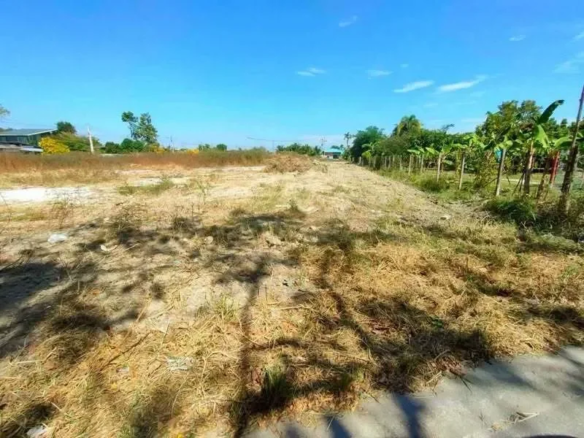 None Bedroom Villa @ Land for sale 3