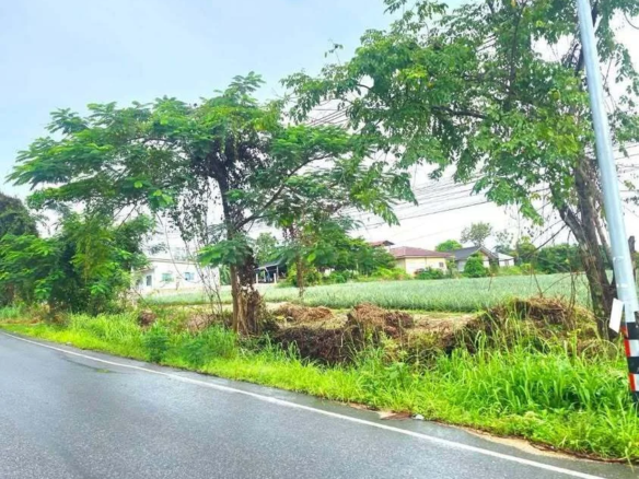 None Bedroom Villa @ Land for sale next to paved road