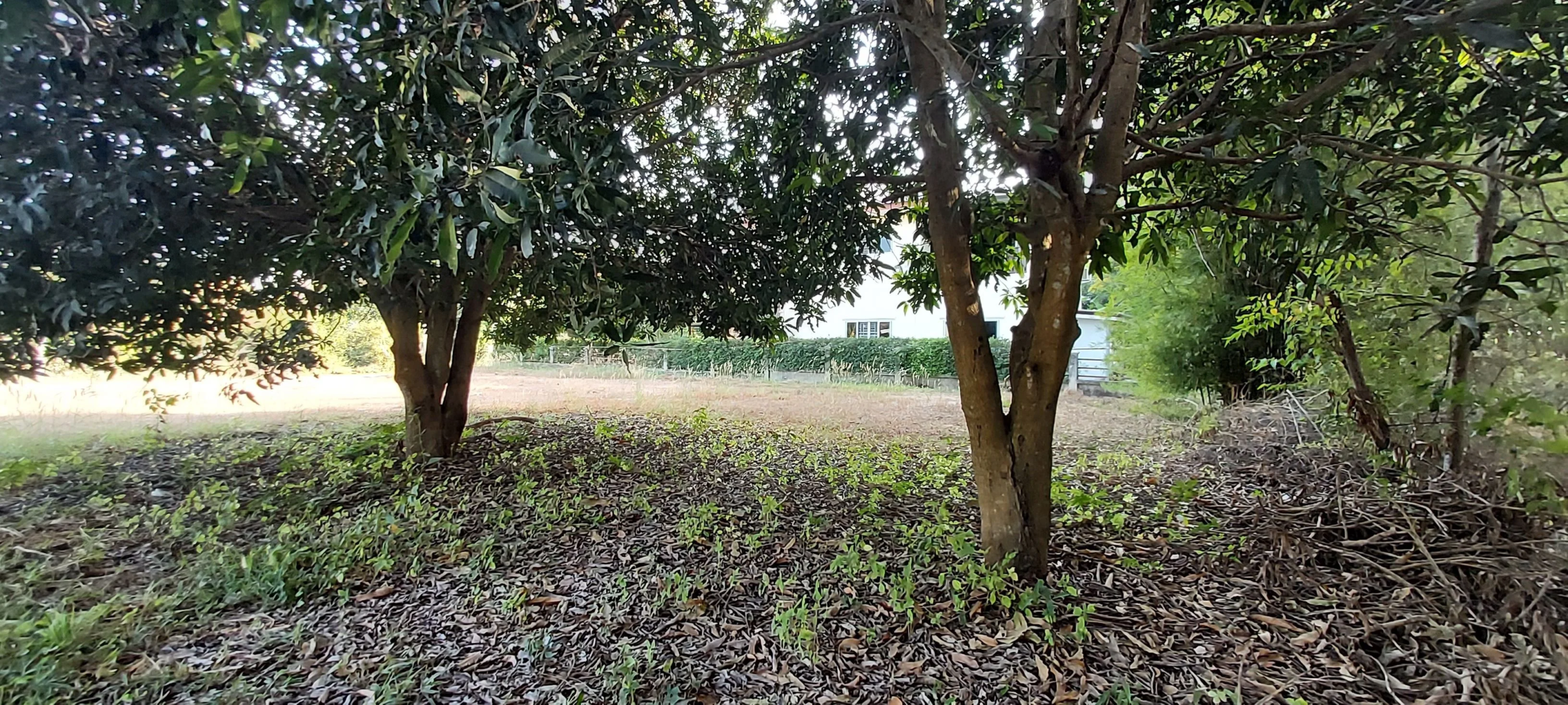 None Bedroom Villa @ Land with good location near Suan Son Beach