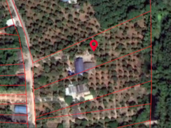 None Bedroom Villa @ Profitable durian garden of 4.86 Rai with large house