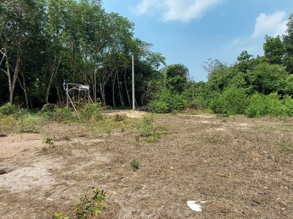 None Bedroom Villa @ Very cheap 2